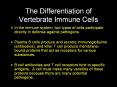 The Differentiation of Vertebrate Immune Cells PowerPoint PPT Presentation