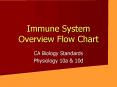 Immune System Overview Flow Chart PowerPoint PPT Presentation