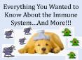 Everything You Wanted to Know About the Immune System PowerPoint PPT Presentation