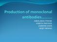 Production of monoclonal antibodies PowerPoint PPT Presentation