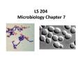 LS 204  Microbiology Chapter 7 PowerPoint PPT Presentation