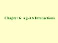 Chapter 6 Ag-Ab Interactions PowerPoint PPT Presentation