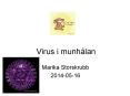 Virus i munh PowerPoint PPT Presentation