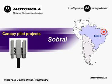 Canopy pilot projects