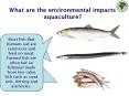 What are the environmental impacts aquaculture? PowerPoint PPT Presentation