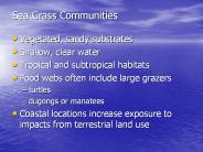 Sea Grass Communities