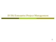 IS 556 Enterprise Project Management