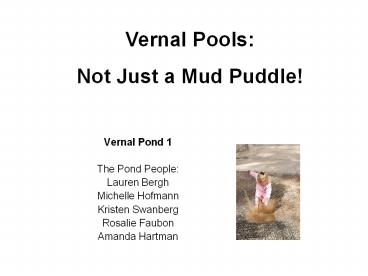 Vernal Pond 1