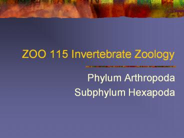 ZOO 115 Invertebrate Zoology