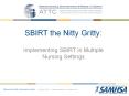 SBIRT the Nitty Gritty: PowerPoint PPT Presentation