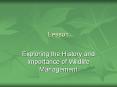 Exploring the History and Importance of Wildlife Management PowerPoint PPT Presentation