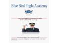 Pilot Training,Commercial Pilot Training & Commercial Pilot License - Blue Bird Flight Academy PowerPoint PPT Presentation
