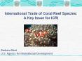 International Trade of Coral Reef Species: A Key Issue for ICRI PowerPoint PPT Presentation