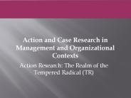 Action Research: The Realm of the Tempered Radical (TR)