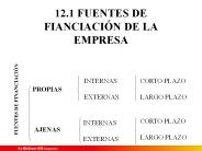 12.1 FUENTES DE FIANCIACI