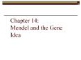 Chapter%2014:%20Mendel%20and%20the%20Gene%20Idea PowerPoint PPT Presentation