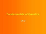 Fundamentals of Genetics