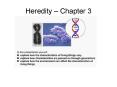 Heredity  PowerPoint PPT Presentation