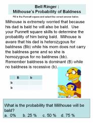 Bell Ringer : Milhouse