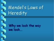 Mendel