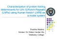 Characterization of protein folding determinants for LIN-12/Notch-Repeats (LNRs) using Human Notch1 LNRB as a model system PowerPoint PPT Presentation