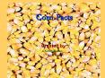Corn Facts PowerPoint PPT Presentation
