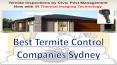 best termite control companies sydney PowerPoint PPT Presentation