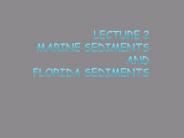 Lecture%202%20Marine%20Sediments%20And%20Florida%20Sediments
