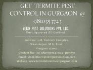 Termite pest control Gurgaon call @ 9810353723