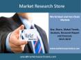 Steel and Iron Chain Markets in the World to 2019 - Market Size, Development, and Forecasts PowerPoint PPT Presentation