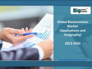 Global Biosimulation Market by Application, Geography 2013-2020
