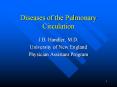 Diseases of the Pulmonary Circulation PowerPoint PPT Presentation