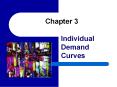 Individual Demand Curves PowerPoint PPT Presentation