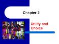 Utility and Choice PowerPoint PPT Presentation
