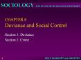 CHAPTER 8 Deviance and Social Control PowerPoint PPT Presentation