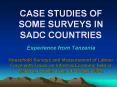 CASE STUDIES OF SOME SURVEYS IN SADC COUNTRIES Experience from Tanzania  Household Surveys and Measurement of Labour Force with Focus on Informal Economy held in Maseru, Lesotho from 14-18 April 2008. PowerPoint PPT Presentation
