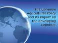 The Common Agricultural Policy and its impact on the developing countries PowerPoint PPT Presentation