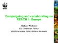 Campaigning and collaborating on REACH in Europe PowerPoint PPT Presentation