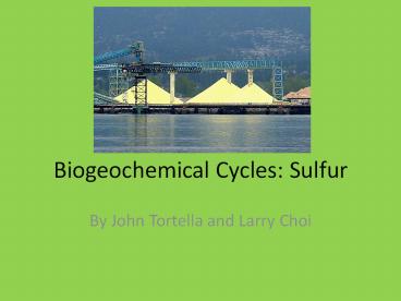 Biogeochemical Cycles: Sulfur