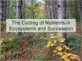 The Cycling of Nutrients in Ecosystems and Succession PowerPoint PPT Presentation