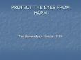 PROTECT THE EYES FROM HARM PowerPoint PPT Presentation