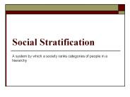 Social Stratification
