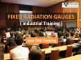 Fixed radiation gauges industrial training PowerPoint PPT Presentation