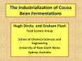 The Industrialization of Cocoa Bean Fermentations PowerPoint PPT Presentation