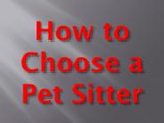 How to Choose a Pet Sitter