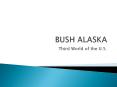BUSH ALASKA PowerPoint PPT Presentation