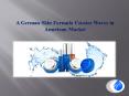 A German Skin Formula Creates Waves in American Market PowerPoint PPT Presentation