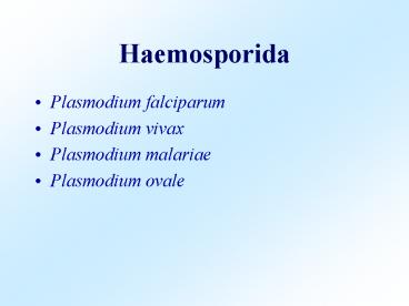 Haemosporida
