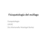 Fisiopatolog