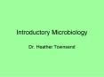 Introductory Microbiology PowerPoint PPT Presentation